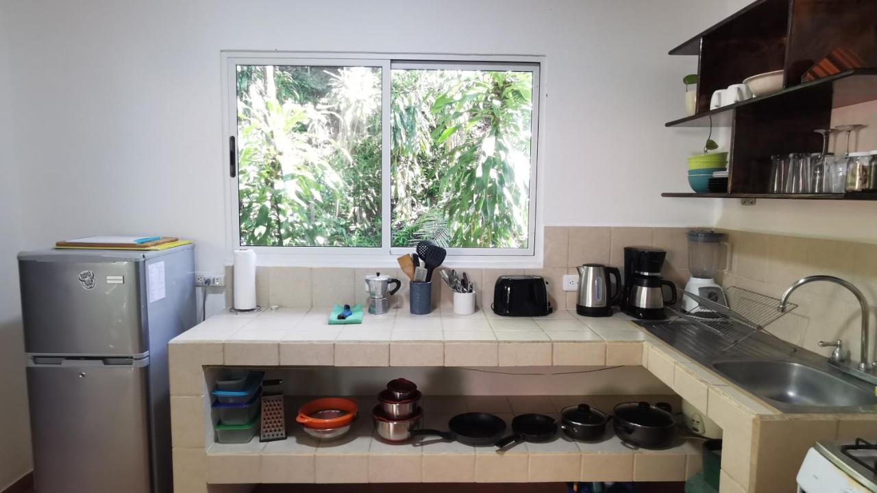 Colibri Apartments - 4 Min Walk To The Beach! Playa Santa Teresa  Экстерьер фото