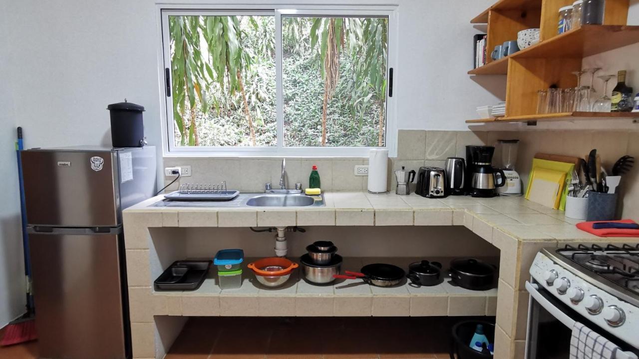 Colibri Apartments - 4 Min Walk To The Beach! Playa Santa Teresa  Экстерьер фото