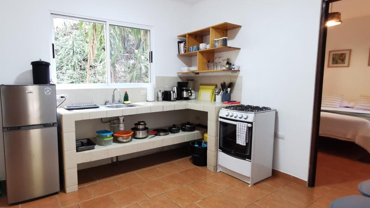 Colibri Apartments - 4 Min Walk To The Beach! Playa Santa Teresa  Экстерьер фото